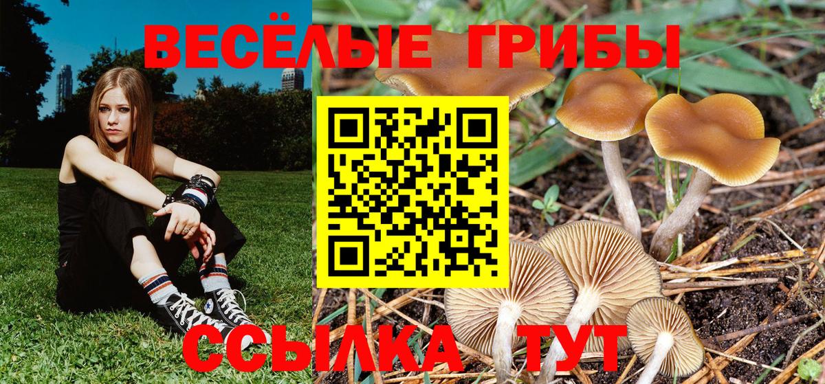 Ульяновск  Галлюциногенные грибы MAGIC MUSHROOMS  Вход с VPN 