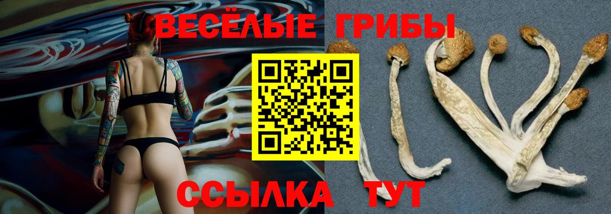 Псилоцибиновые грибы MAGIC MUSHROOMS Ульяновск